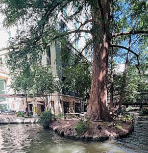 San Antonio River Walk