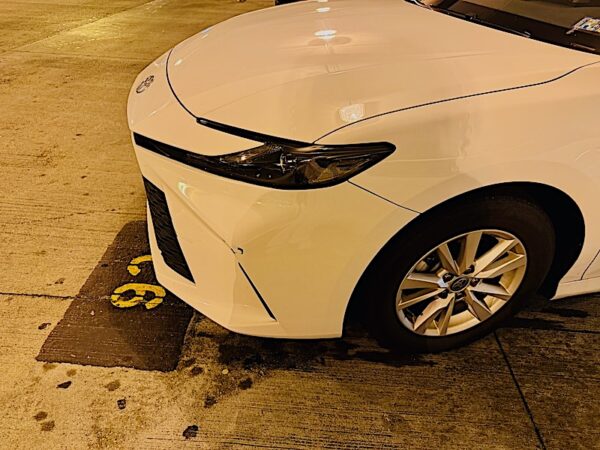 Back in Williamsburg Virginia